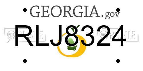 RLJ8324 Georgia License Plate
