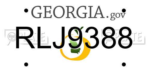 RLJ9388 Georgia License Plate