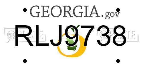 RLJ9738 Georgia License Plate