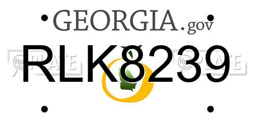 RLK8239 Georgia License Plate