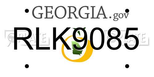 RLK9085 Georgia License Plate
