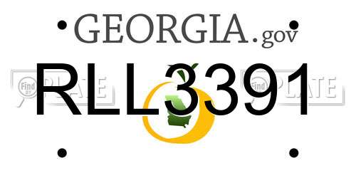 RLL3391 Georgia License Plate