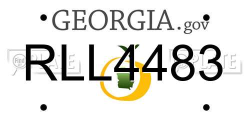 RLL4483 Georgia License Plate