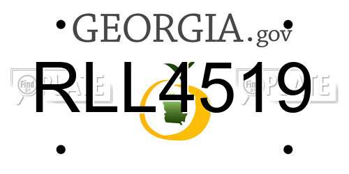 RLL4519 Georgia License Plate