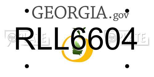 RLL6604 Georgia License Plate