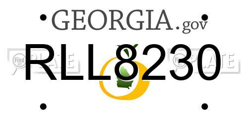 RLL8230 Georgia License Plate