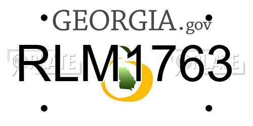RLM1763 Georgia License Plate
