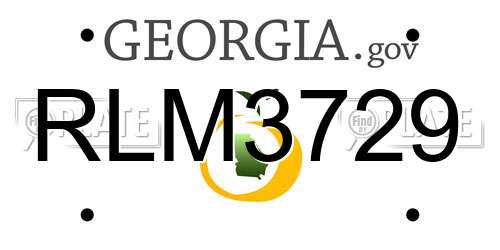 RLM3729 Georgia License Plate