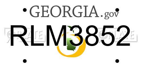 RLM3852 Georgia License Plate