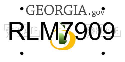 RLM7909 Georgia License Plate