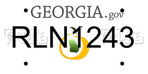 RLN1243 Georgia License Plate