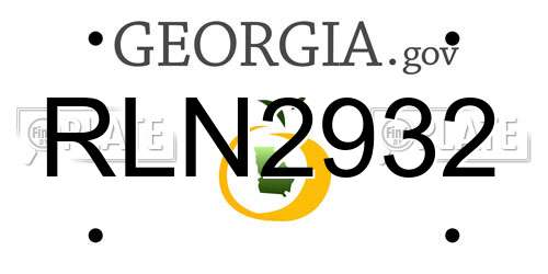 RLN2932 Georgia License Plate