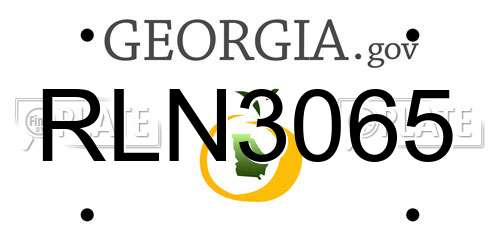 RLN3065 Georgia License Plate