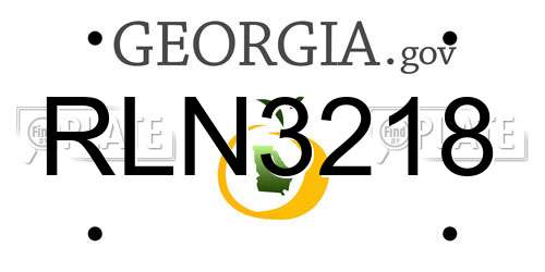 RLN3218 Georgia License Plate