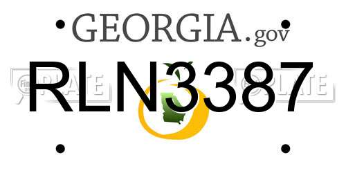 RLN3387 Georgia License Plate