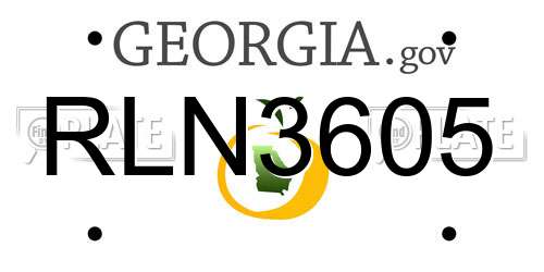 RLN3605 Georgia License Plate