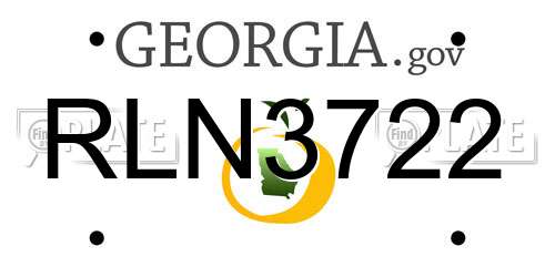 RLN3722 Georgia License Plate