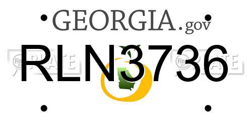RLN3736 Georgia License Plate