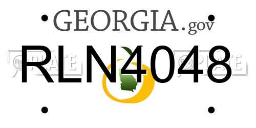 RLN4048 Georgia License Plate