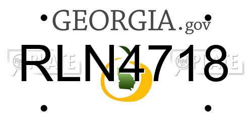 RLN4718 Georgia License Plate