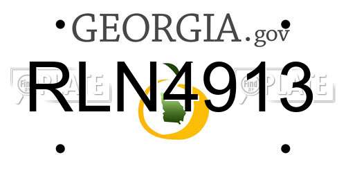 RLN4913 Georgia License Plate
