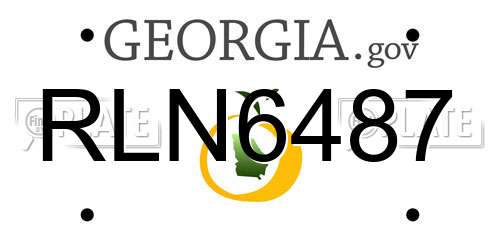 RLN6487 Georgia License Plate