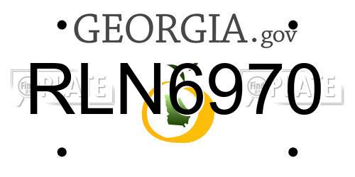 RLN6970 Georgia License Plate