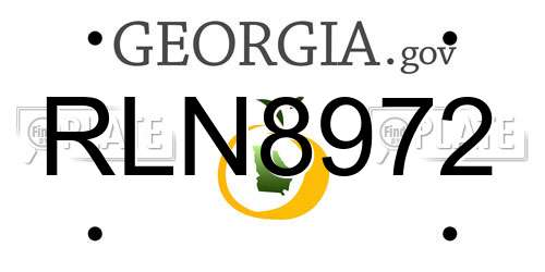 RLN8972 Georgia License Plate