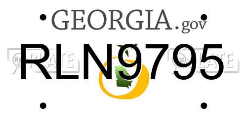 RLN9795 Georgia License Plate