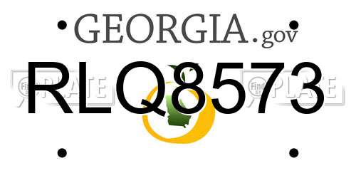RLQ8573 Georgia License Plate