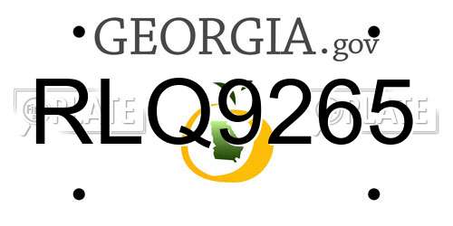 RLQ9265 Georgia License Plate