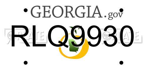 RLQ9930 Georgia License Plate