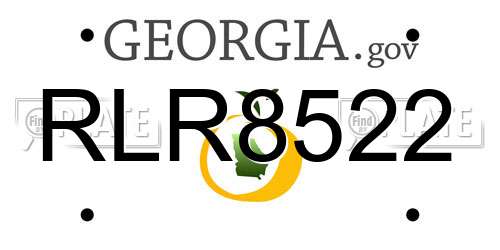 RLR8522 Georgia License Plate