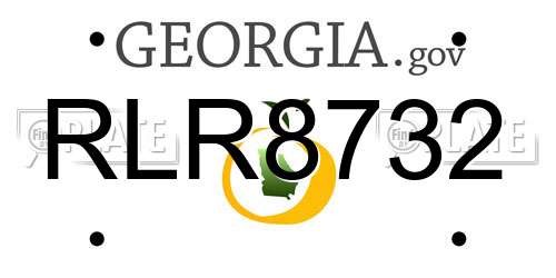 RLR8732 Georgia License Plate
