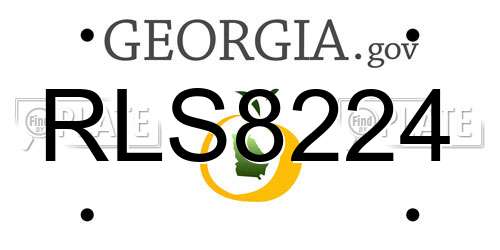 RLS8224 Georgia License Plate