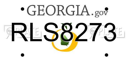 RLS8273 Georgia License Plate