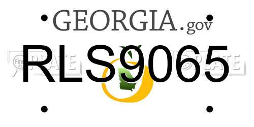 RLS9065 Georgia License Plate