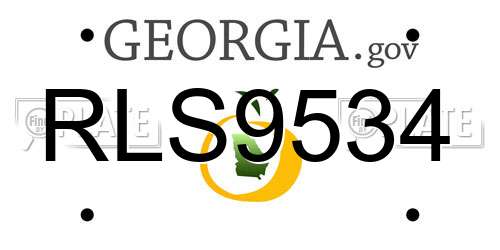 RLS9534 Georgia License Plate