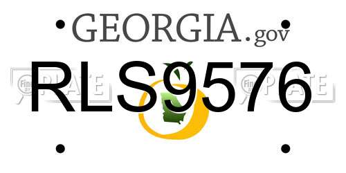 RLS9576 Georgia License Plate