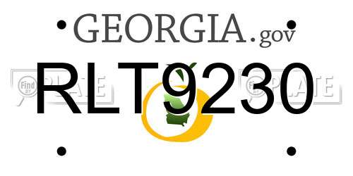 RLT9230 Georgia License Plate