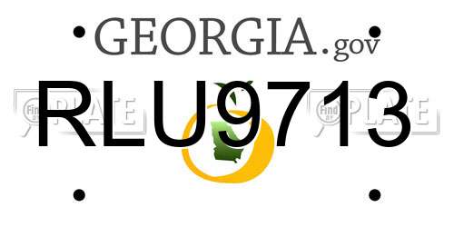 RLU9713 Georgia License Plate