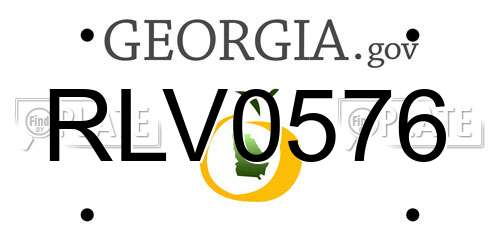RLV0576 Georgia License Plate