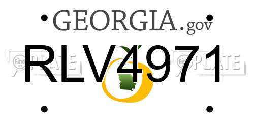 RLV4971 Georgia License Plate