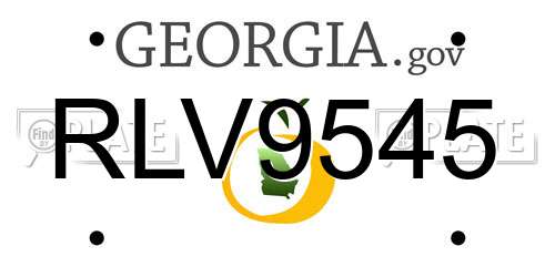 RLV9545 Georgia License Plate