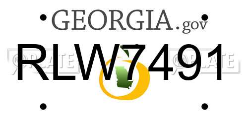 RLW7491 Georgia License Plate