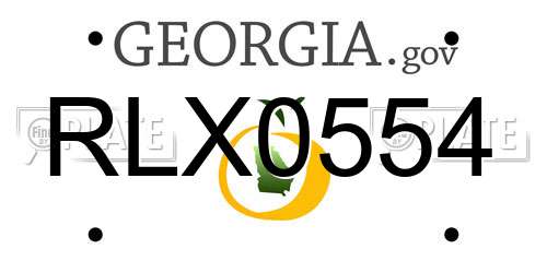 RLX0554 Georgia License Plate