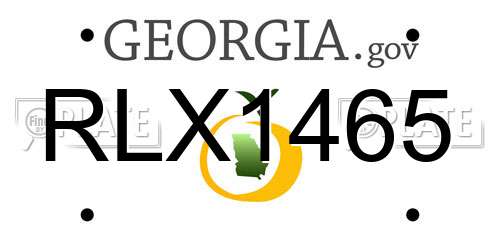 RLX1465 Georgia License Plate