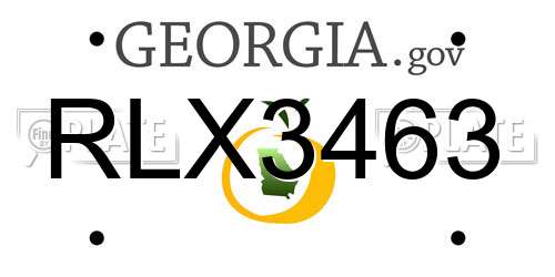 RLX3463 Georgia License Plate