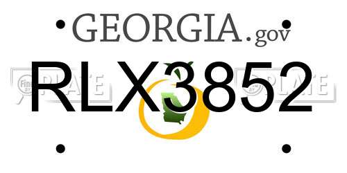 RLX3852 Georgia License Plate