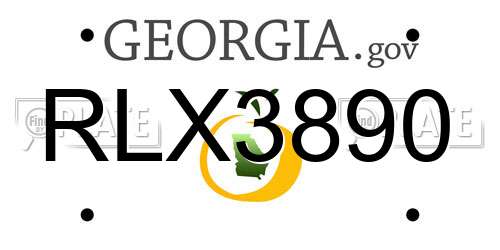 RLX3890 Georgia License Plate